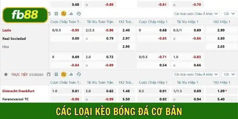 Tìm hiểu các loại cược trên bảng kèo trước khi giải mã