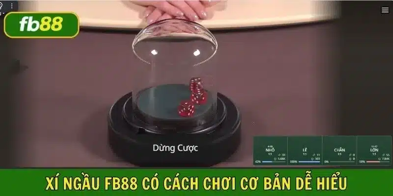 Luật chơi xí ngầu FB88 về cơ bản rất dễ hiểu và làm quen nhanh chóng