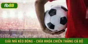 Giải mã kèo bóng