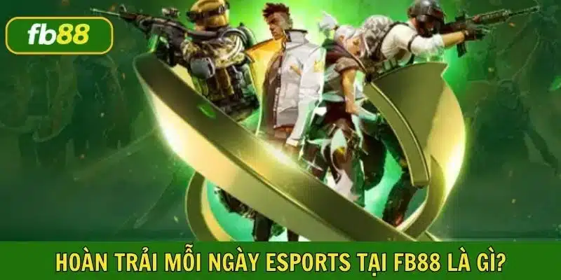 Hoàn trả mỗi ngày Esports nghĩa là gì?