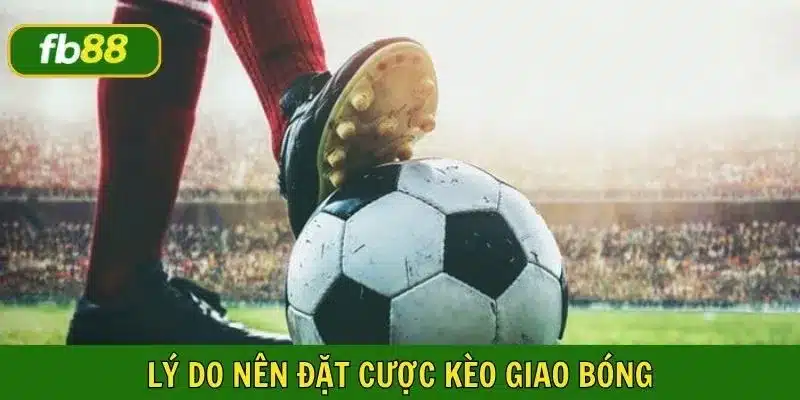 Cơ hội chiến thắng khi tham gia cá cược là 50%