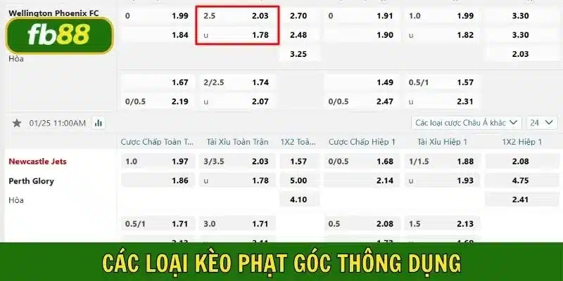 Cập nhật ví dụ về hình thức cược để hiểu rõ cách tính