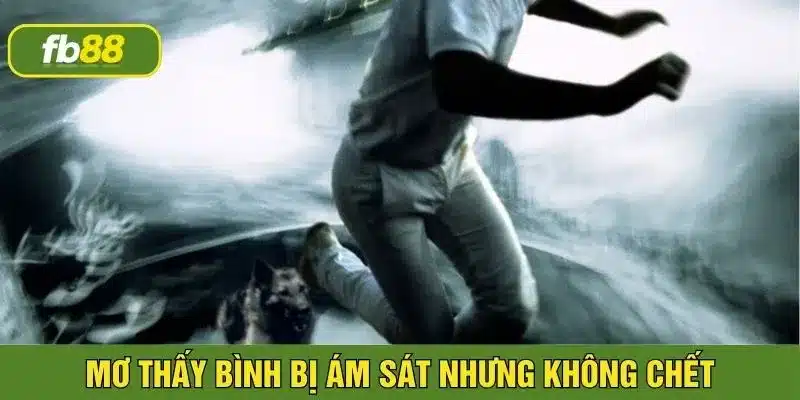 Nằm mơ bị ám sát nhưng may mắn thoát chết