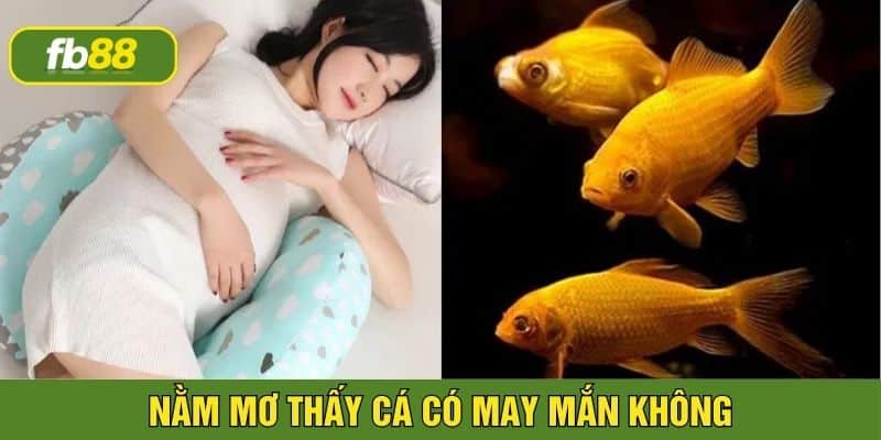 nằm mơ thấy cá