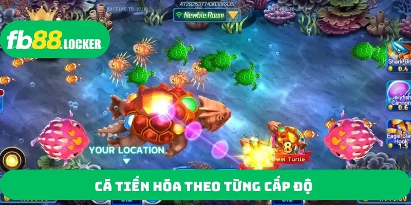 Cá tiến hóa theo từng cấp độ