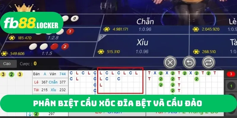 Phân biệt cầu xóc đĩa bệt và cầu đảo